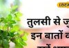 श्रीकृष्ण का प्रिय मार्गशीर्ष महीना शुरू, इस समय तुलसी देती हैं कई शुभ संकेत, जानें आप कितने किस्मतवाले!