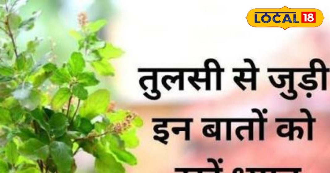 श्रीकृष्ण का प्रिय मार्गशीर्ष महीना शुरू, इस समय तुलसी देती हैं कई शुभ संकेत, जानें आप कितने किस्मतवाले!