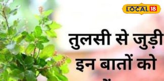 श्रीकृष्ण का प्रिय मार्गशीर्ष महीना शुरू, इस समय तुलसी देती हैं कई शुभ संकेत, जानें आप कितने किस्मतवाले!