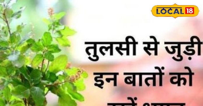 श्रीकृष्ण का प्रिय मार्गशीर्ष महीना शुरू, इस समय तुलसी देती