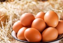 5 vegetarian food that has more protein than eggs। इन 5 शाकाहारी फूड्स में होते हैं अंडे से भी ज्यादा प्रोटीन, शरीर को मिलेगी भरपूर एनर्जी, त्वचा भी करेगी ग्लो