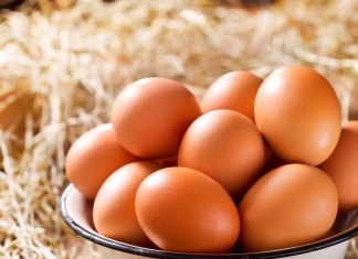 5 vegetarian food that has more protein than eggs। इन 5 शाकाहारी फूड्स में होते हैं अंडे से भी ज्यादा प्रोटीन, शरीर को मिलेगी भरपूर एनर्जी, त्वचा भी करेगी ग्लो