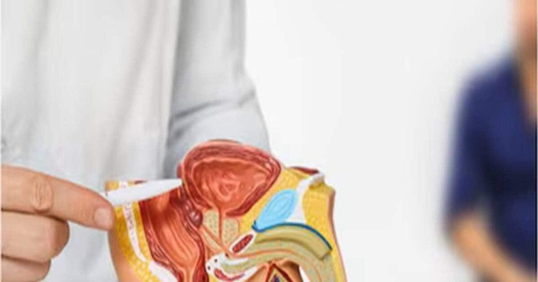 रात में जागना और बार-बार पेशाब आना… पुरुषों को शरीर क्या संकेत दे रहा है? जानिए इस पर क्या कह रहे डॉक्टर