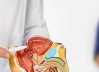 रात में जागना और बार-बार पेशाब आना… पुरुषों को शरीर क्या संकेत दे रहा है? जानिए इस पर क्या कह रहे डॉक्टर