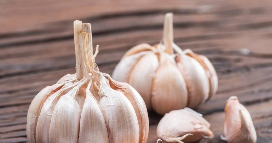 1764933728_Benefits-of-eating-2-3-garlic-cloves-daily-7-2025-12-8ba3ee69331ba394cfdf49a1a972438e-16x9.jpg