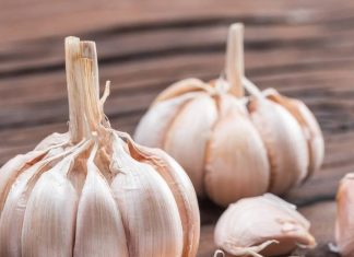 सुबह खाली पेट लहसुन खाने के एक्सपर्ट्स ने बताए हैं ये 5 चमत्कारी फायदे, जानकर आप भी शुरू कर देंगे खाना!
