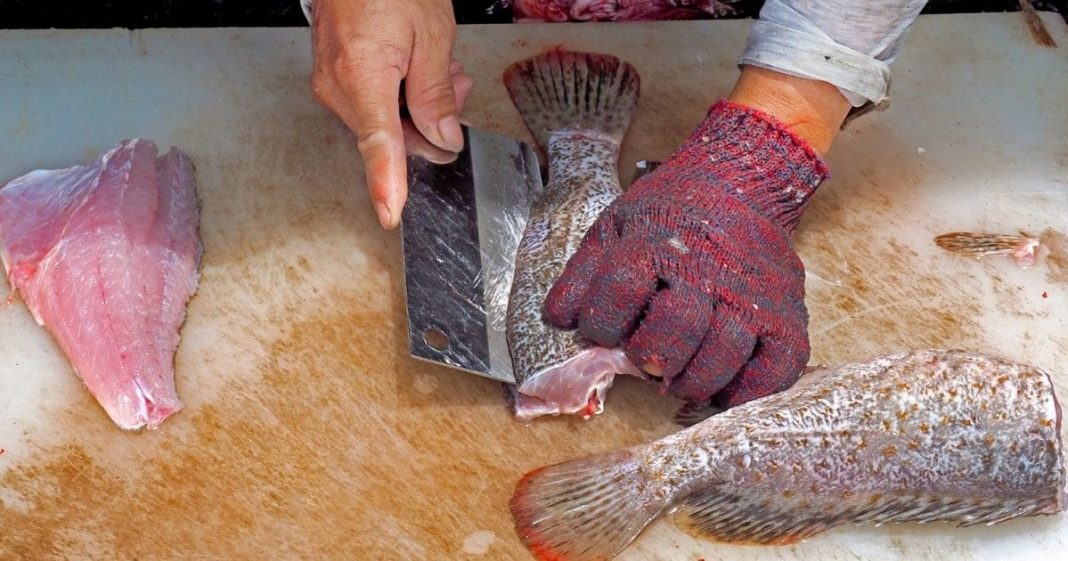 मांसाहारी लोग इन मछलियों से रहें सावधान….नहीं तो जा सकती है जान!