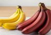 Red Banana Benefits : सर्दियों में पीला नहीं…खाएं लाल केला, शरीर को एक साथ होंगे कई फायदे!