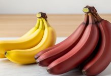 Red Banana Benefits : सर्दियों में पीला नहीं…खाएं लाल केला, शरीर को एक साथ होंगे कई फायदे!
