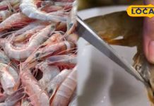 jhinga machhli revealed important for health | मछली खाने के शौकीनों! क्या आप जानते हैं कि झींगा की काली नस को बिना निकाले खाने से क्या होता है? जानिए सच