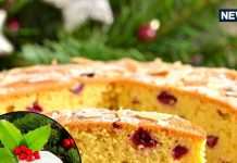 क्रिसमस केक की अनोखी यात्रा! जानिए कैसे साधारण बेर का दलिया बन गया दुनिया की सबसे पसंदीदा मिठाई, रोमांचक है यह कहानी