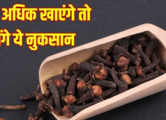 Cloves side effects: लौंग अधिक खाने के नुकसान किन्हें होते हैं ज्यादा? कब न खाएं