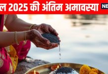 Darsha Amavasya 2025 Upay five Astro remedy to remove pitru and Rahu and Ketu Dosha on Paush Amavasya | साल 2025 की अंतिम अमावस्या कल, पितरों को प्रसन्न करने के लिए जरूर करें ये 5 काम, पितृ और राहु-केतु दोष से मिलेगी राहत
