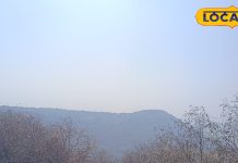 Dhaulpur News : ऋषि-मुनियों की तपोस्थली से चंबल के बीहड़ तक, यहां है विंध्याचल पर्वत का अंतिम छोर!