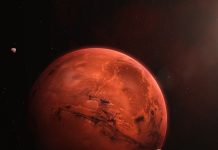 Effects of Mars in 6th house। मंगल का छठे में भाव और उपाय