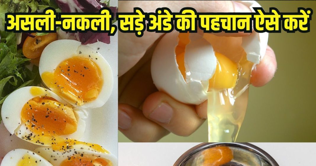 Fake Egg viral video: अंडे पकने के बाद हो गए रबर से, 10 वॉर्निंग संकेतों से करें सड़े अंडों की पहचान