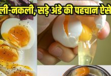 Fake Egg viral video: अंडे पकने के बाद हो गए रबर से, 10 वॉर्निंग संकेतों से करें सड़े अंडों की पहचान