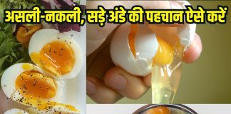 Fake Egg viral video: अंडे पकने के बाद हो गए रबर से, 10 वॉर्निंग संकेतों से करें सड़े अंडों की पहचान