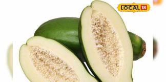 कच्चा पपीता खाएंते तो बीमारियों से रहेंगे दूर, वजन होगा कम, मुखड़े पर आएगा निखार; डाइट में करें शामिल