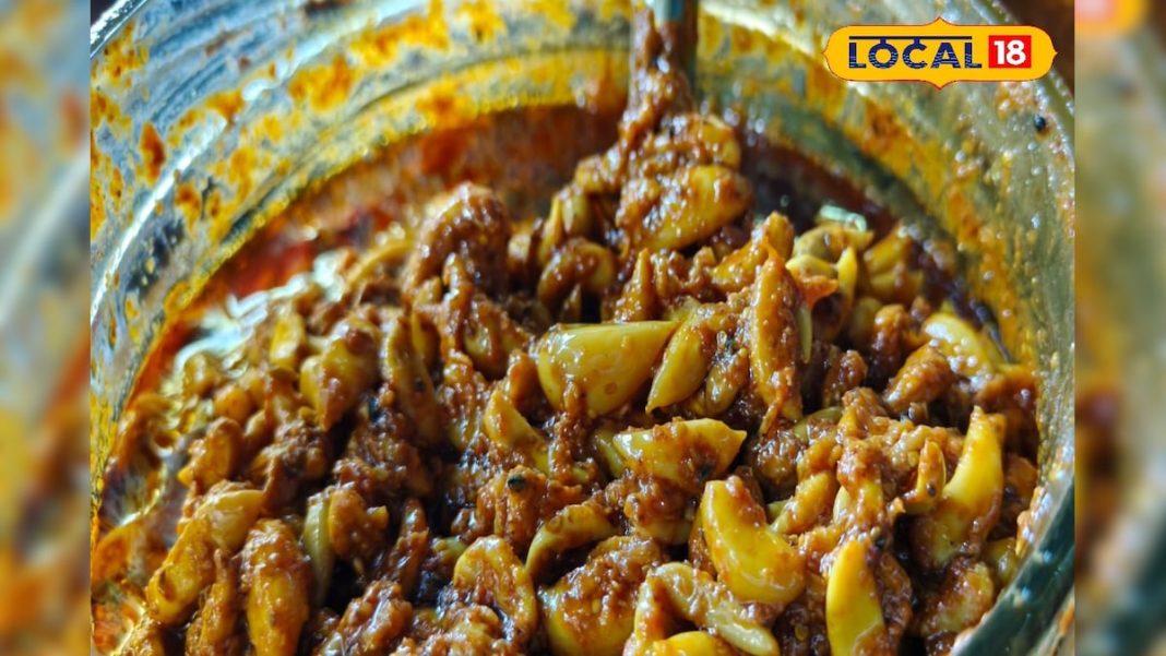 सर्दियों में बनाकर खाएं लहसुन का अचार, बढ़ेगा खाने का स्वाद और मिलेगी गर्माहट; नोट करें आसान रेसिपी