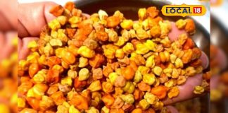 सुबह चना खाना सही या गलत? एक्सपर्ट ने बताया किसे करना चाहिए परहेज – Bharat.one हिंदी