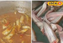 चखा है छत्तीसगढ़ी बांसपत्ती मछली का लजीज स्वाद? भूल नहीं पाएंगे जायका, ये है रेसिपी