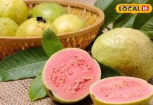 सर्दियों में जरूर खाएं ये देसी फल, पोषक तत्त्वों का है खजाना, शरीर को मिलेंगे फायदे ही फायदे