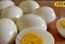 рдЖрдк рднреА рдЦрд╛рддреЗ рд╣реИрдВ рдЕрдВрдбреЗ рдХрд╛ рдкреАрд▓рд╛ рд╣рд┐рд╕реНрд╕рд╛? рд╕рд╣реА рдпрд╛ рдЧрд▓рдд рдорд┐рд▓ рдЧрдпрд╛ рдПрдХреНрд╕рдкрд░реНрдЯ рдХрд╛ рд╕рдЯреАрдХ рдЬрд╡рд╛рдм