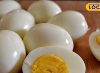 आप भी खाते हैं अंडे का पीला हिस्सा? सही या गलत मिल गया एक्सपर्ट का सटीक जवाब
