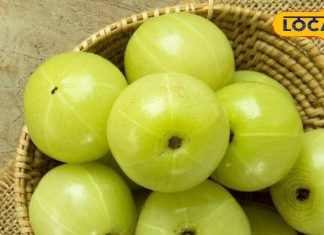 बिना चीनी के आंवला मुरब्बा, सर्दियों में ताकत और इम्यूनिटी का सुपरफूड, ऐसे करें घर पर तैयार