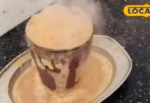 घर में बनाएं 5 स्टार होटल वाली तंदूरी चाय, मिलेगा टेस्ट और हेल्थ का डबल डोज, ये है रेसिपी – Madhya Pradesh News