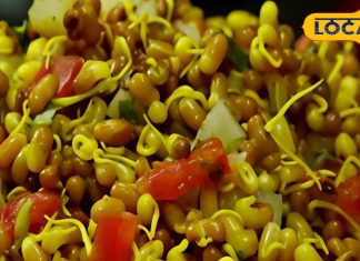 पेट भी भरे, एनर्जी भी मिले…. स्प्राउट्स वाला नाश्ता है सबके लिए खास, घर पर ऐसे करें तैयार – Uttar Pradesh News