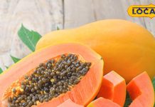 सुबह यह फल खाना है बेहद जरूरी, आपके बैड कोलेस्ट्रॉल और वजन का रखेगा ख्याल, जानें सही सेवन का तरीका – Uttar Pradesh News