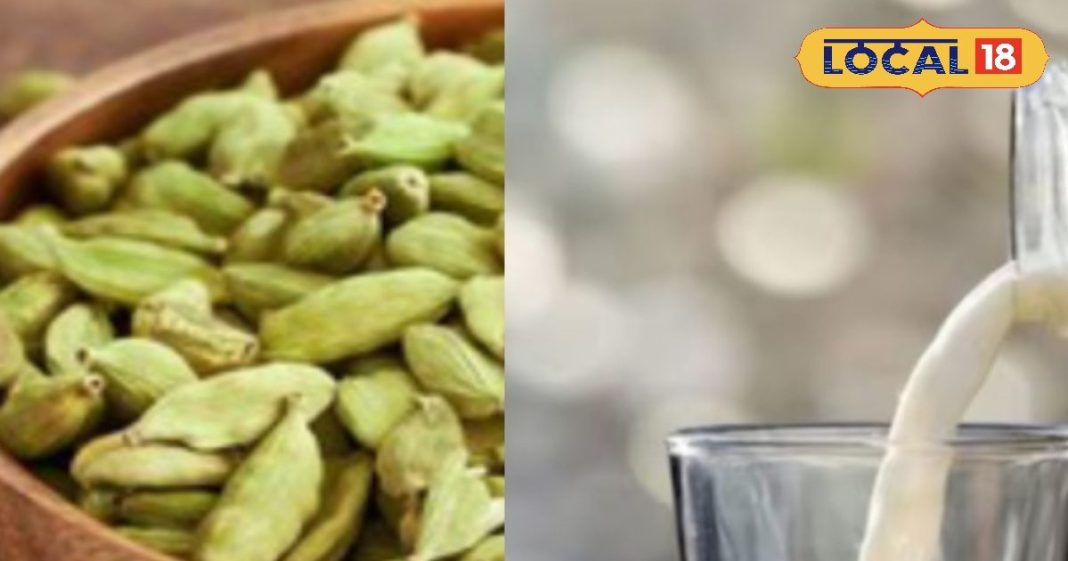 शरीर को बनाना है फौलाद, तो रसोई में मौजूद इस छोटी सी चीज को दूध में डालकर करें सेवन और फिर देखें कमाल – Uttar Pradesh News