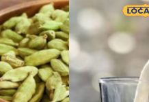 शरीर को बनाना है फौलाद, तो रसोई में मौजूद इस छोटी सी चीज को दूध में डालकर करें सेवन और फिर देखें कमाल – Uttar Pradesh News