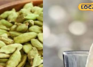 शरीर को बनाना है फौलाद, तो रसोई में मौजूद इस छोटी सी चीज को दूध में डालकर करें सेवन और फिर देखें कमाल – Uttar Pradesh News