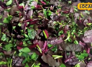 घर पर बनाएं टेस्टी लाल भाजी–मेथी आमट, मेहमान करेंगे तारीफ, ये है बस्तर वाली फेमस रेसिपी – Chhattisgarh News