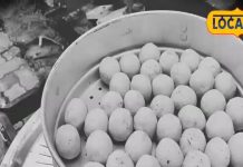 बिना मसाले-तेल.. शुद्ध और हेल्दी व्यंजन, झारखंड की परंपरा-स्वाद का मीठा संगम है ये अनोखी डिश – Jharkhand News