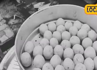 बिना मसाले-तेल.. शुद्ध और हेल्दी व्यंजन, झारखंड की परंपरा-स्वाद का मीठा संगम है ये अनोखी डिश – Jharkhand News