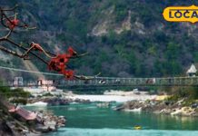 राम झूला के आगे है असली ऋषिकेश! पहाड़ों की ये 6 खूबसूरत स्पॉट, बना देंगे सबको दीवाना – Uttarakhand News