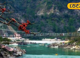 राम झूला के आगे है असली ऋषिकेश! पहाड़ों की ये 6 खूबसूरत स्पॉट, बना देंगे सबको दीवाना – Uttarakhand News