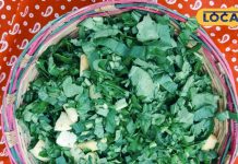 भूल जाएंगे सरसों का साग जब खाएंगे इस पत्ते की सब्जी, बनाना आसान, सर्दी-जुकाम में भी फायदेमंद