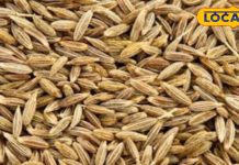 पेट की समस्याओं और अपच में रामबाण, खाली पेट कुछ दिन यह खाएं, जानिए सही समय और तरीका – Uttar Pradesh News