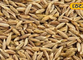 पेट की समस्याओं और अपच में रामबाण, खाली पेट कुछ दिन यह खाएं, जानिए सही समय और तरीका – Uttar Pradesh News