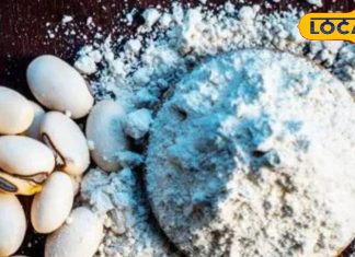 कपिकाचू के बीज से डोपामाइन बढ़ाएं, थकान और उदासी दूर करें.