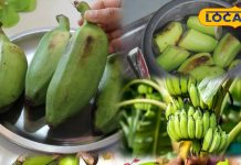 सर्दी में कच्चा केला खाने के फायदे, इम्यूनिटी और पाचन के लिए लाभ.