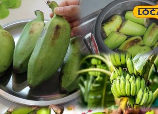सर्दी में कच्चा केला खाने के फायदे, इम्यूनिटी और पाचन के लिए लाभ.