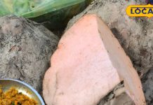 ठंड में बेहद फायदेमंद है इस सब्जी का अचार, विटामिन सी से भरपूर, पाइल्स समेत कई बीमारियों में रामबाण – Madhya Pradesh News