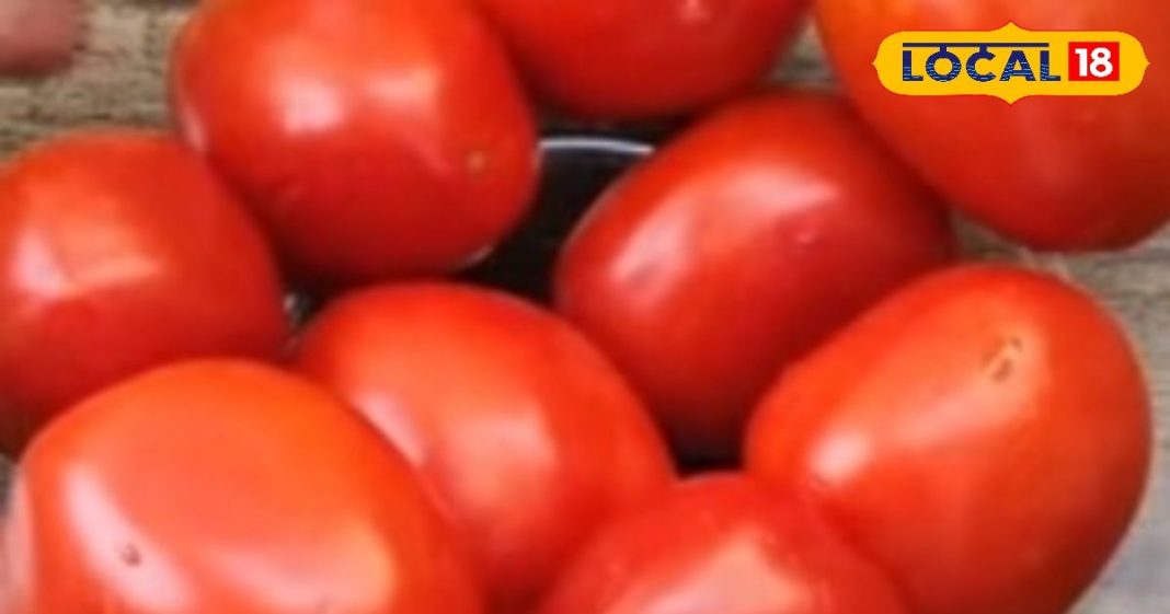 पुरानी चटनी को कहें अलविदा, ट्राई करें ये टमाटर वाली झटपट चटनी, रोटी या दाल-चावल के साथ परोसे