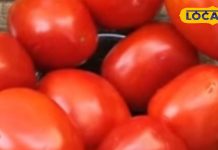 पुरानी चटनी को कहें अलविदा, ट्राई करें ये टमाटर वाली झटपट चटनी, रोटी या दाल-चावल के साथ परोसे